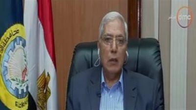 مصرع مسنة تحت عجلات سيارة نظافة.. ومحافظ الدقهلية يعد بحضور الجنازة 