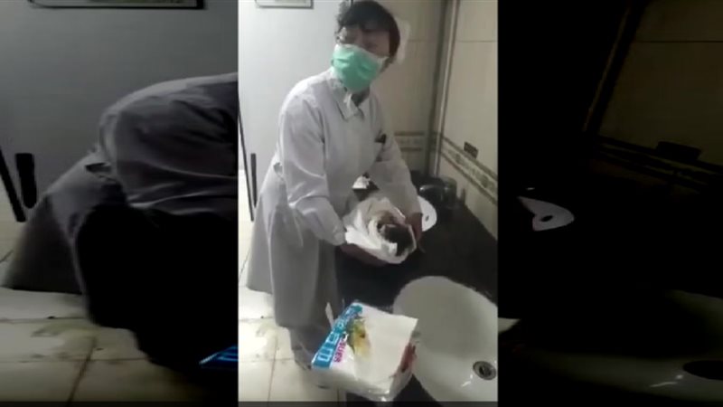 المواطن