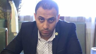 النائب الوفدي 