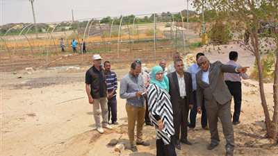 محافظ الوادي الجديد يتفقد الصوب الزراعية بقرية بورسعيد 