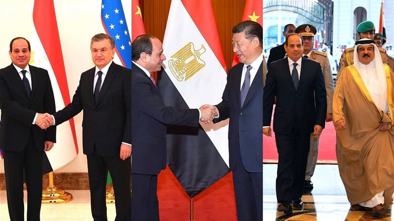الرئيس السيسي ونظيره