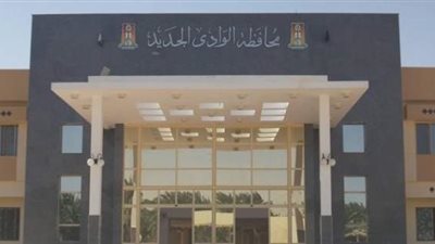 تموين الوادي الجديد: إضافة 4000 مولود على بطاقات الأسرة الذكية