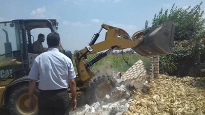صور.. إزالة تعديات على الأرض الزراعية بقرية القلزم بـ القليوبية
