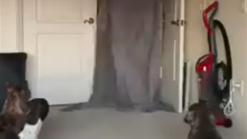 شاب يقوم بخدعة أمام