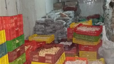 صور.. تفاصيل مثيرة وراء مداهمة مصنع تعبئة أرجل الفراخ 