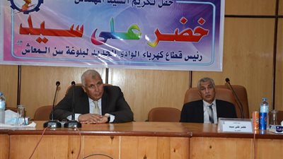 محافظ الوادي الجديد يطالب بإنشاء شركات لتركيب الطاقة الشمسية بأسعار مناسبة للمواطنين
