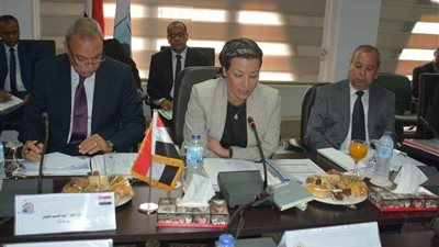 صور.. محافظ كفرالشيخ يستعرض جهود برنامج إدارة المخلفات خلال اجتماع وزيرة البيئة