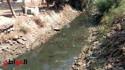 فيديو وصور.. قرية كفر حمودة بالغربية تخرج من حسابات المسئولين