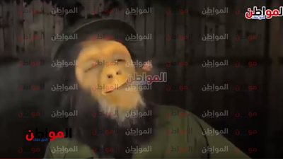 فيديو.. 