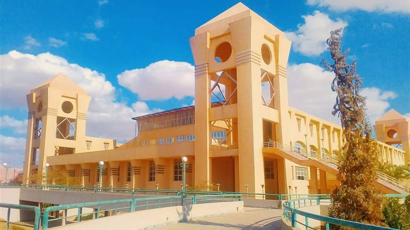 كلية تجارة جامعة