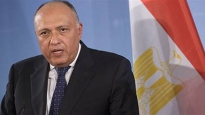 غداً.. شكري يتوجه إلى إريتريا حاملا رسالة شفهية من السيسي إلى الرئيس أفورقي