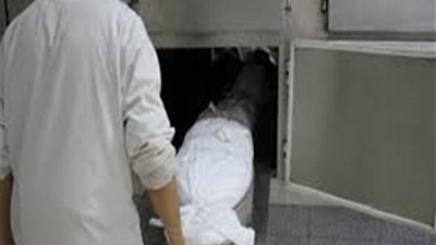 في حادث مروع.. مصرع طفلة سقط عليها جدار فى البحيرة 