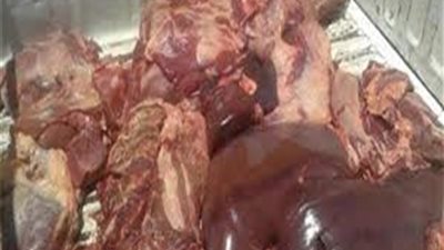 ضبط 1,5 طن لحوم فاسدة خلال حملة فى القليوبية