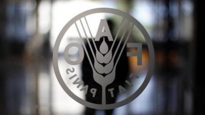  الفاو تزور الوادي الجديد لحل مشكلات التصحر والتملح في هذا الموعد