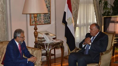 وزير الخارجية: مصر تعد شريكًا أساسيًا لمنظمة الدول الثماني النامية