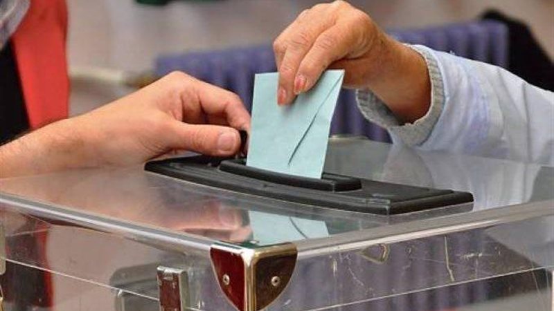 انتخابات المجالس