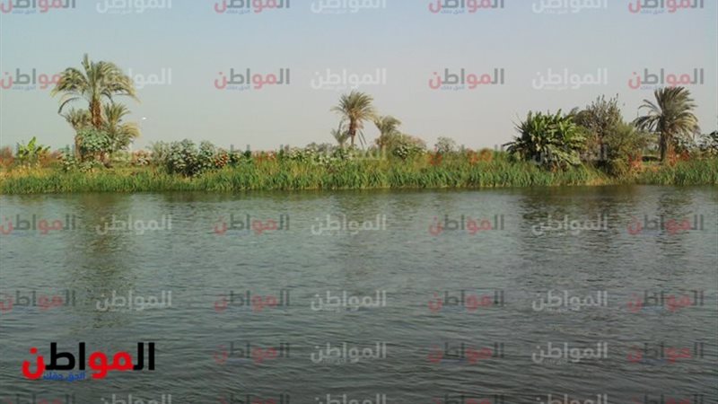 الريف المصري 