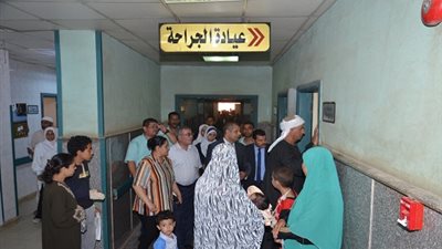 لجنة المتابعة الميدانية ببني سويف: مراجعة شاملة للملفات الهامة لوحدة محلية مركز ناصر 