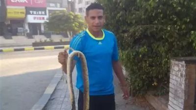 العثور علي ثعبان ضخم بحديقة مديرية الشباب والرياضة بـ بنها 