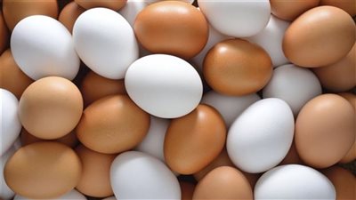 أسعار البيض في بورصة الأسعار اليوم الخميس 20-9-2018 في الفترة الصباحية