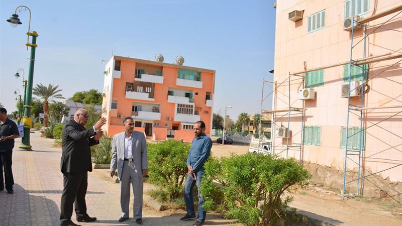 محافظ الوادي الجديد