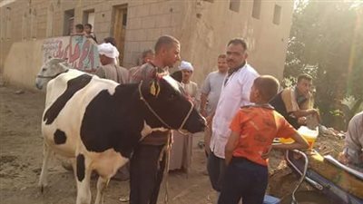 صور.. تحصين 6822 رأس ماشية بقرى بني سويف ضد الحمى القلاعية والوادي المتصدع