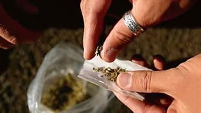 ضبط تشكيل عصابي للإتجار في 