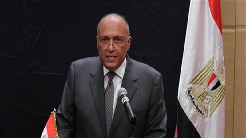 سامح شكرى وزير الخارجية