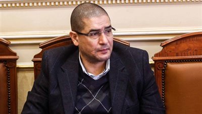 محمد أبو حامد: 2018 عام دمج متحدى الإعاقة بأريحية في المجتمع 