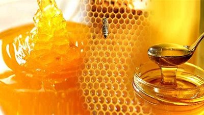 كنوز صحية في تناول عسل النحل.. تعرف عليها؟