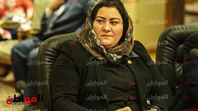 غادة صقر تقدم دراسة فنية واقتصادية للنهوض بمحافظة دمياط