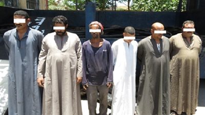 ضبط عناصر تشكيل عصابى تخصص فى إرتكاب وقائع سرقة المواشى بالإسماعيلية