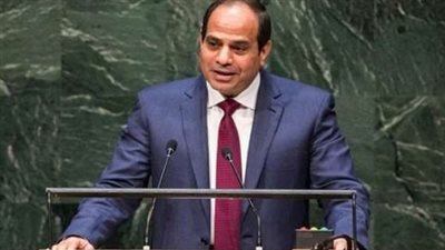 وكيل إعلام البرلمان لـ بوابة المواطن: السيسي سيقدم مصر إلى العالم بإنجازاتها