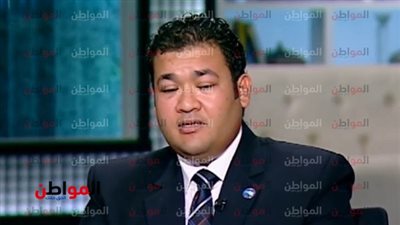 خبير التسويق السياسي: السيسي جعل مصر شامخة أمام العالم