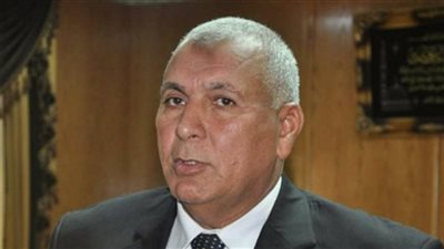 محافظ الوادي الجديد يترأس المجلس التنفيذي 