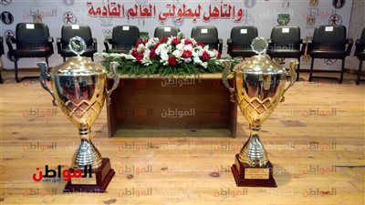 صور.. وزير الرياضة يكرم أبطال منتخب مصر لكرة اليد بعد التأهل لكأس العالم