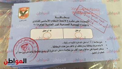 صور.. بطاقة تصويت على لائحة الأهلي