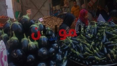 اسعار الخضار والفاكهة في أسواق البحيرة اليوم .. والبسلة بـ 6 جنيه