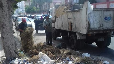 حول شقة مريضة السيدة نفيسة.. حي الضواحي ببورسعيد يشن حملات نظافة مكبرة