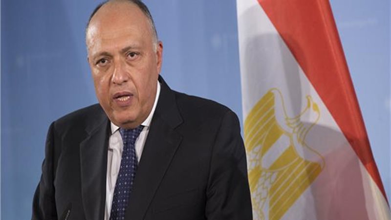 وزير الخارجية سامح