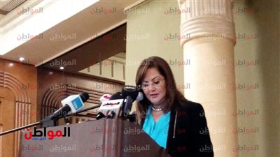 فيديو .. وزيرة التخطيط: نجاح الإحصاء يحتاج إلى دقة في البيانات
