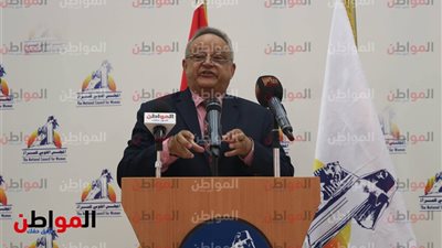 أحمد زايد: نحتاج تشريعات قوية تحمي الأمومة والطفولة لتحقيق الأمن القومي