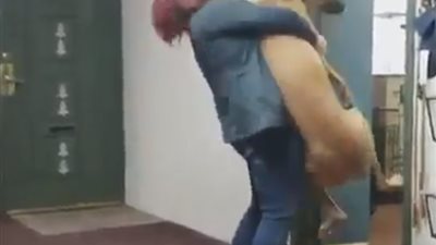 لن تصدق ماذا يفعل الكلاب عند الاستحمام 