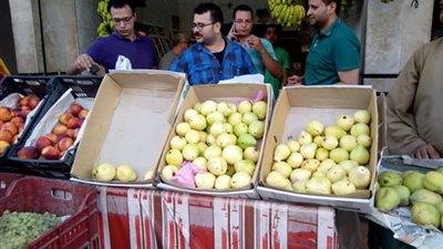 صور.. اسعار الخضار والفاكهة بمحافظة الغربية اليوم.. والملوخية وجبة الغلابة