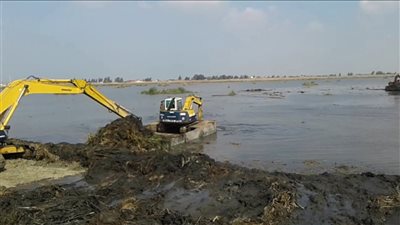 شائعات السوشيال ميديا .. بحيرة المنزل للبيع وانتشار تطعيمات التوحد