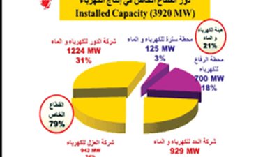 فيديو..وزير الكهرباء: تنفيذ خطة التطوير ورفع كفاءة خدمة الطاقة الكهربائية تصل إلي عام ونصف