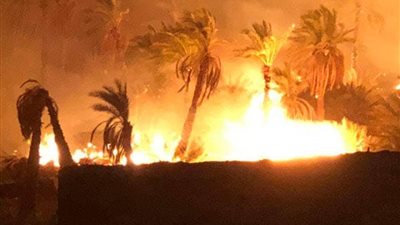 وصول 4 طائرات للمشاركة في إطفاء حريق الراشدة بـ الوادي الجديد مع أول ضوء نهار
