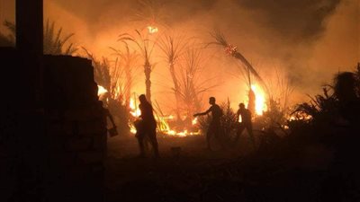 صور.. انتقال حريق الراشدة لقرية العوينة في الوادي الجديد 