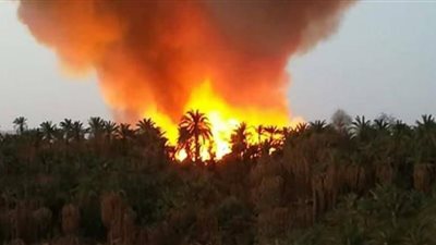 بالأسماء.. ارتفاع عدد مصابي حريق الراشدة بالوادي الجديد إلى 36 حالة
