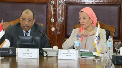 وزيرا البيئة والتنمية المحلية يصلان موقع حريق الراشدة بالوادي الجديد 